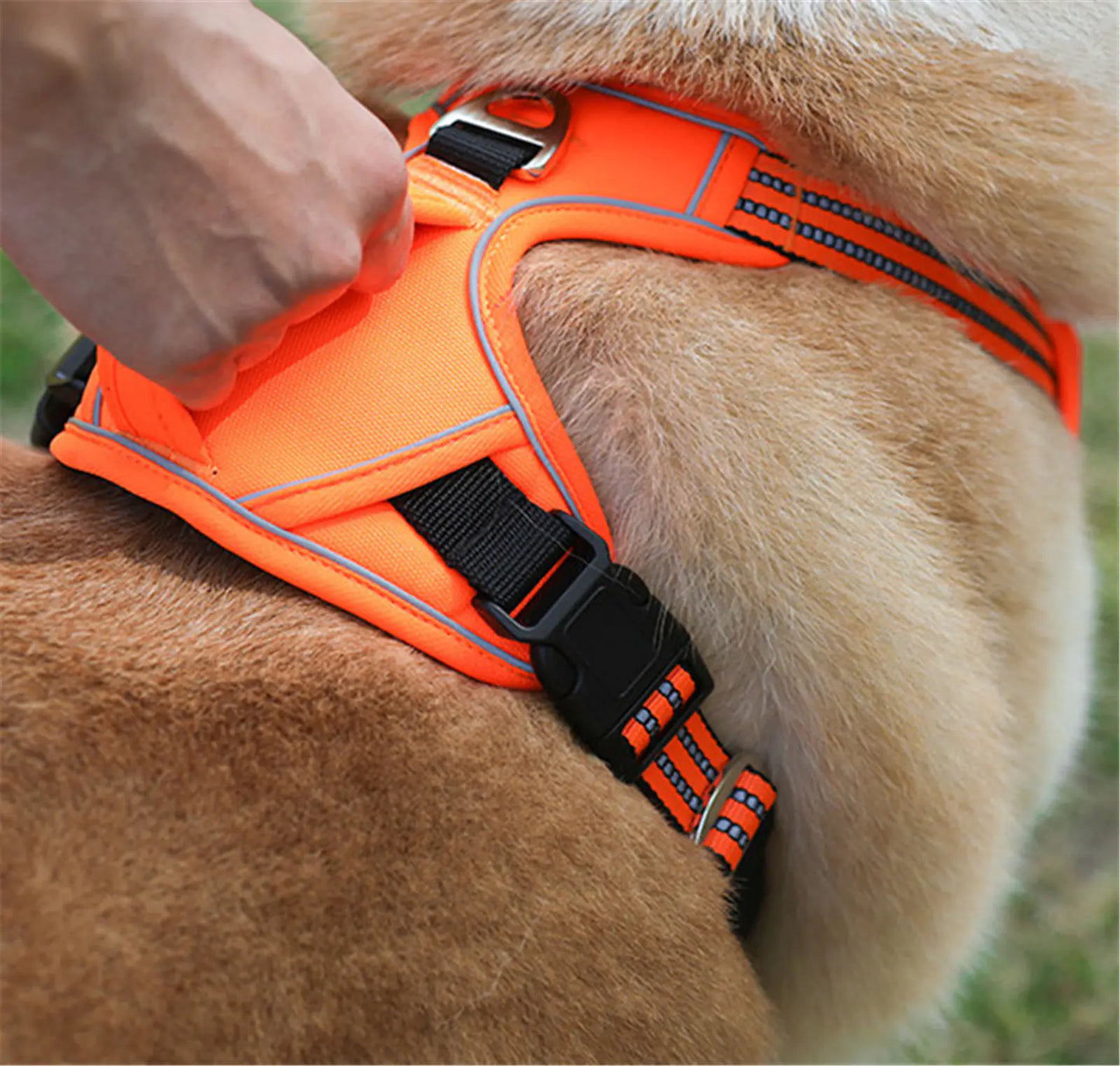 Waterproof Pet Harness with Vertical Handle